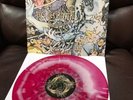 PIG DESTROYER • PHANTOM LIMB • VINYL LP /100 • converge nails dying fetus death