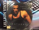 Peter Andre Limited Ed. Natural LP Picture Disc L2005 Pop 90's Mysterious Girl