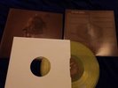 The Dear Hunter Migrant Clear Vinyl