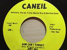 JOEY DEE AND THE NEW STARLIGHTERS HOW CAN I FORGET CANEIL RECORDS 100