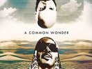 COMMON VS. STEVIE WONDER A Common Wonder 2x LP NEW VINYL Amerigo Gazaway Fela S