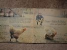 Vinyl. HARDY HEPP: HEPP - HAHN & HUHN. alive and good night. 1971. WB 46 116