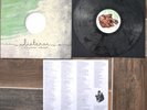 Listener - Wooden Heart Vinyl LP Clear /300 New Original Press
