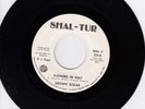 Brown Sugar 45 Disco Dancer SHAL-TUR modern soul boogie LISTEN