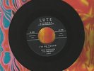 The Starlets I'm So Young He's Got It Lute 45 Record Doo Wop Girl Group SCARCE