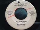 Hear Rare Teen Oldies 45 : Billy Mishel   Paradise Found   The Agency   Time