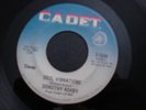 DOROTHY ASHBY LONELY GIRL 45 RECORD SOUL VIBRATIONS S-5604