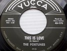 the FORTUNES doowop YUCCA VG++ 45 THIS IS LOVE b/w LONELY TEARDROPS PJ451