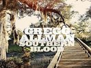 Gregg Allman - Southern Blood