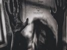 Behind The Shadow Drops - Harmonic (Vinyl LP - 2017 - US - Original)