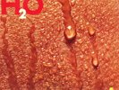 DARYL HALL AND JOHN OATES 1982 H2O 33 VINYL LP RECORD EXLT