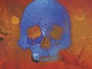 Bronx The-V  VINYL NEW