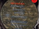 BAD RELIGION 21st century (digital boy) (limited picture disc) 10