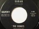 THE ISONICS 