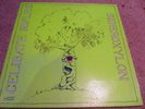 The Celibate Rifles - Sideroxylon 12