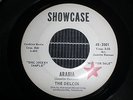 THE DELCOS Arabia SHOWCASE DJ Copy white Lable northern soul 45 rare soul USA