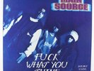Main Source - Fuck What You Think 2xLP - Wild Pitch NM