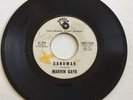 MARVIN GAYE, MR. SANDMAN, TAMLA#54055, RARE PROMO 45 RECORD, 1962