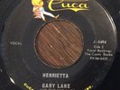 Gary Lane and The Mad Lads, Henrietta 45, 1964 Garage Rocker Wisconsin CUCA