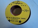 Sandpipers Rare Girl Garage MOD Soul 45 Private Love is a Beautiful Thing FL