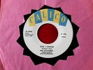 SKYLINERS  THIS I SWEAR  VG++ TOMORROW  CALICO   DOO WOP 45