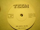UK TEEM GL 1001-JAH LLOYD-DRY BONE SKANK/RIGHTEOUS FLAMES-LOVING WORLD-NR EX