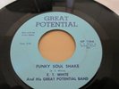 E T White&Great Potential Band Great Potential 136 Funky soul shake