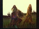 The Lion's Roar - FIRST AID KIT [LP]