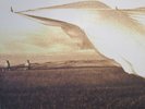 Neil YOUNG DoLp Prairie Wind mit Beilagen in Near Mint