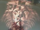 John Butler Trio April Uprising Vinyl