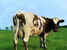 Pink Floyd - Atom Heart Mother, 180g Vinyl Lp Record, New & Sealed, Free Post