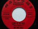 The DEE CALS 45 Stars in the Blue / Wonderful Day MAYHAMS doowop Pj426