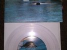 Diver [7 inch Vinyl Disc] by Wilhelm Scream (A) (Vinyl, Jump Start Re…