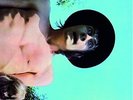 Mr Wonderful (Gatefold Sleeve) [Vinyl] Fleetwood Mac Vinyl