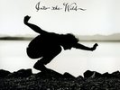 EDDIE VEDDER Into The Wild OST180gm Vinyl LP NEW SEALED Music On Vinyl Pearl Jam
