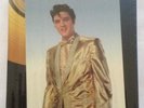 Elvis Presley 550 Piece Puzzle  by TreeToys - NEW