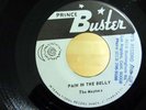 Reggae 45 THE MAYTALS Pain In The Belly / Dog War PRINCE BUSTER Jamaica NM