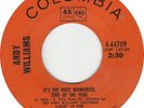 Andy Williams It,s The Most Wonderful Time Of The Year