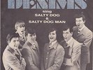 The DENIMS Salty dog man  Queens NY. garage mover with RARE picture sleeve HEAR