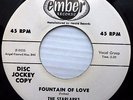 STARLARKS doowop EMBER promo 45 Fountain of Love / Send Me a Picture Baby ws170