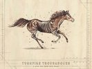 TURNPIKE TROUBADOURS - A LONG WAY FROM YOUR HEART (LP   VINYL LP NEW+