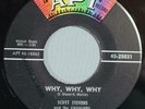 HEAR IT 60's Doo-Wop 45 rpm record Scott Stevens & Cavaliers 