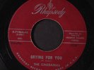 CINERAMAS: Crying For You / I'm Sorry Baby 45 (wol) Vocal Groups