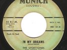 Doo Wop 45 THE SPORTTONES 