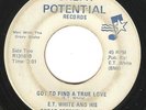 Northern Soul Funk 45 E.T. WHITE & GREAT POTENTIAL BAND Got To Find A True Love