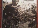 The Ceaseless Sight [2LP] by Rich Robinson (Black Crowes) - NM/EX Vinyl