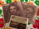 WOLF ALICE YOU'RE A GERM 2x7 SIGNED SINGLE ELLIE ROSWELL (visions Of Life LP CD)