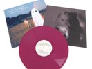 Phoebe Bridgers - Stranger In The Alps (NEW 12