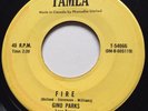 R&B NEW BREED Gino Parks FIRE Tamla 45  Canadian pressing KILLER