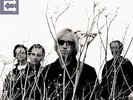 PETTY,TOM & HEARTBREAKERS-ECHO  VINYL LP NEW